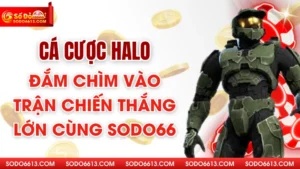 Cá Cược Halo - Đắm Chìm Vào Trận Chiến Thắng Lớn Cùng Sodo66