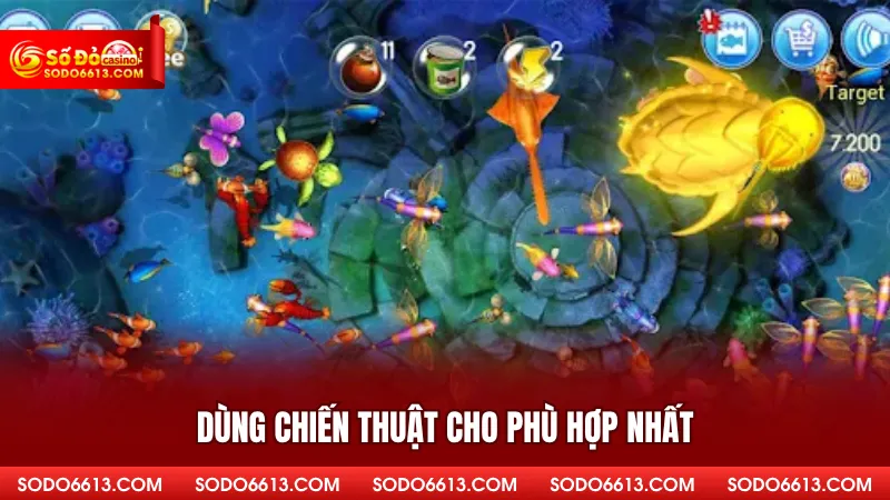 Dùng chiến thuật cho phù hợp nhất
