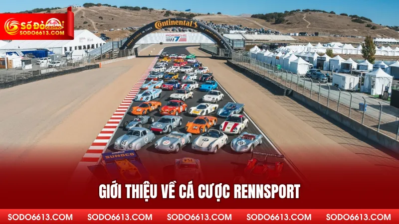 Giới thiệu về cá cược Rennosport