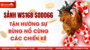 Sảnh WS168 Sodo66 - Tận Hưởng Sự Bùng Nổ Cùng Các Chiến Kê