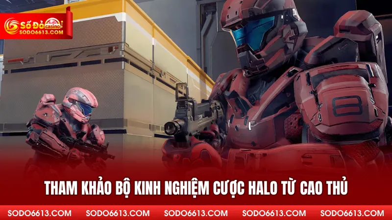Tham khảo bộ kinh nghiệm cược Halo từ cao thủ