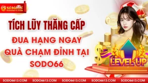 Tích Lũy Thăng Cấp - Đua Hạng Ngay Quà Chạm Đỉnh Tại Sodo66