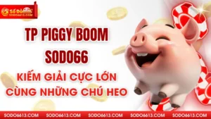 TP Piggy Boom Sodo66 - Kiếm Giải Cực Lớn Cùng Những Chú Heo